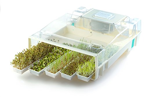 EasyGreen Cases automatiques de germination 3662150999442 (3662150999442)
