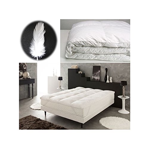 ProBache - Surmatelas plumes d'oie 160 x 200 cm...