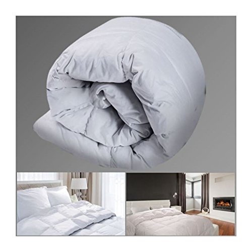 ProBache - Couette plume d'oie 200X200 cm anti-...