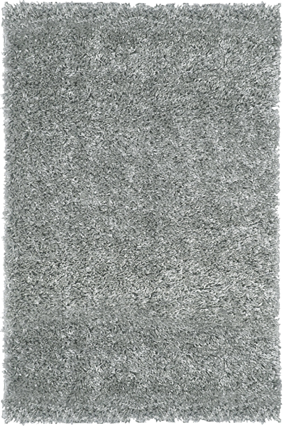  Tapis Indoor Shaggy  code EAN 3663095114525 