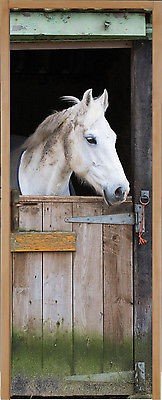 Stickersnews - Sticker pour porte plane Cheval ...