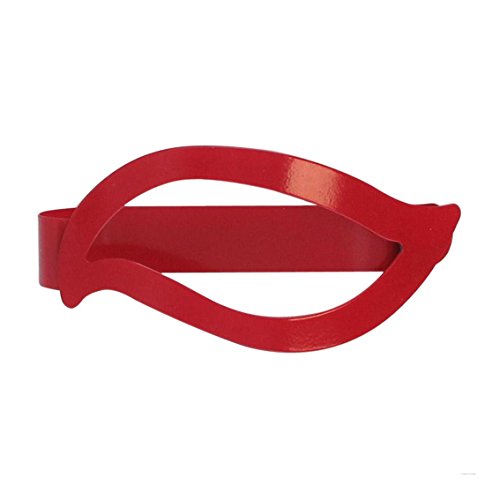 EMBRASSE AIMANTEE AMANDINE - TOP DECO RIDEAU PL...