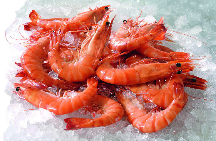  CREVETTES LABEL ROUGE DE MADAGASCAR 300 G "L'ORIGINE DU GOUT" code EAN 3664335003166 