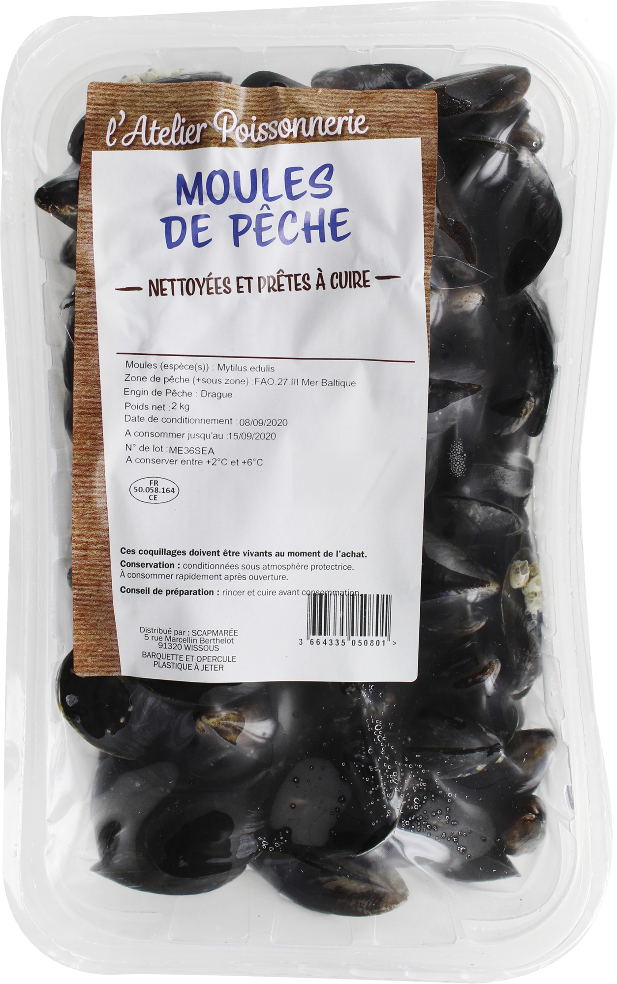 MOULES (MYTILUS EDULIS) DE PÊCHE NETTOYÉES ET P...