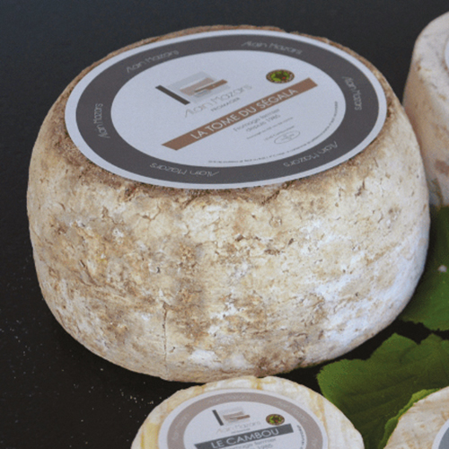 ALAIN MAZARS LA TOME DU SÉGALA code EAN 3664422 