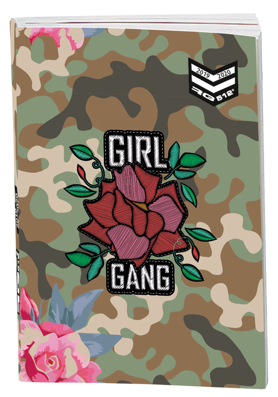 RG 512 GIRL AGENDA SCOLAIRE 12X17 CM RG 512 GIRL code EAN 3664447045283 