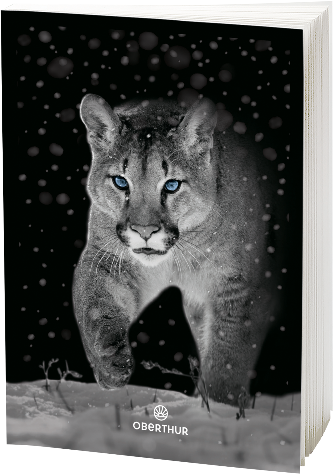  AGENDA Animaux sauvages ou Kawaï code EAN 3664447164182 