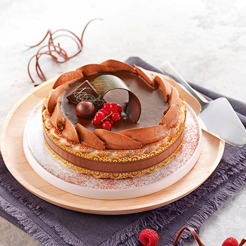  CHARLOTTE CHOCOLAT OU FRAMBOISE 8 PERSONNES code EAN 3664785283507 