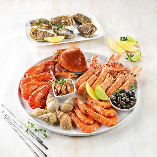  PLATEAU CAPITAINE code EAN 3664785530052 