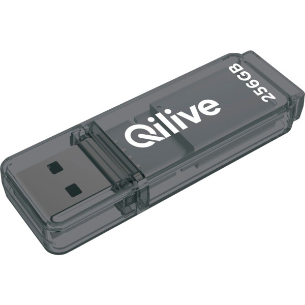 Clé Usb 256Go Qilive 3665257309558 