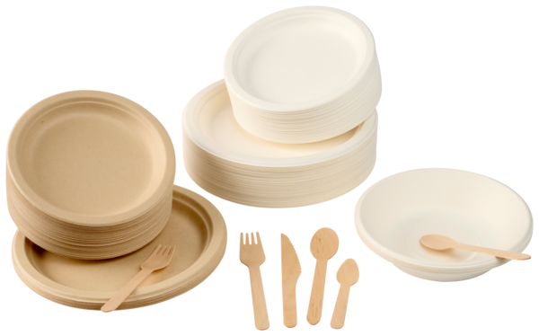  Assiettes Ø 18 Cm Pulpe De Canne code EAN 3665257366230 