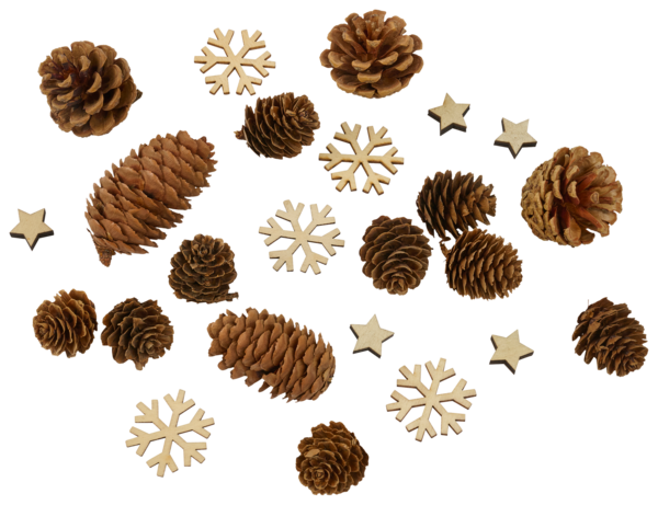  Décoration De Table  Pommes De Pin Actuel code EAN 3665257463830 