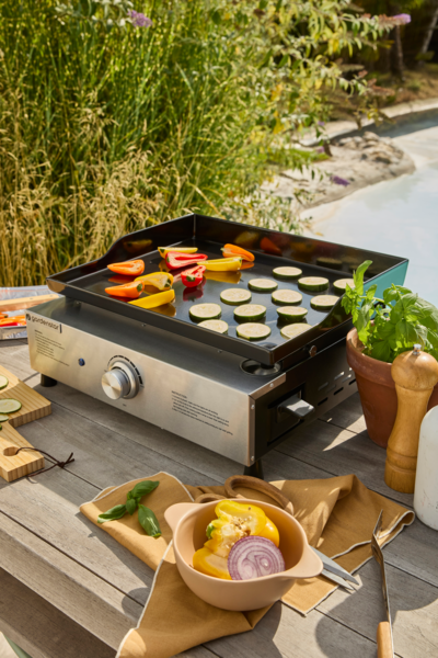  Plancha Électrique 1 Brûleur Gardenstar code EAN 3665257473648 