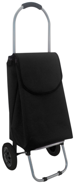  Poussette De Marché 23L 2 Roues code EAN 3665257476717 