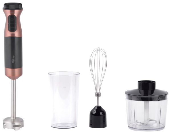  Mixeur code EAN 3665257486136 