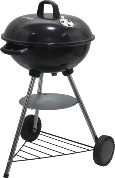  Barbecue Charbon code EAN 3665257522711 