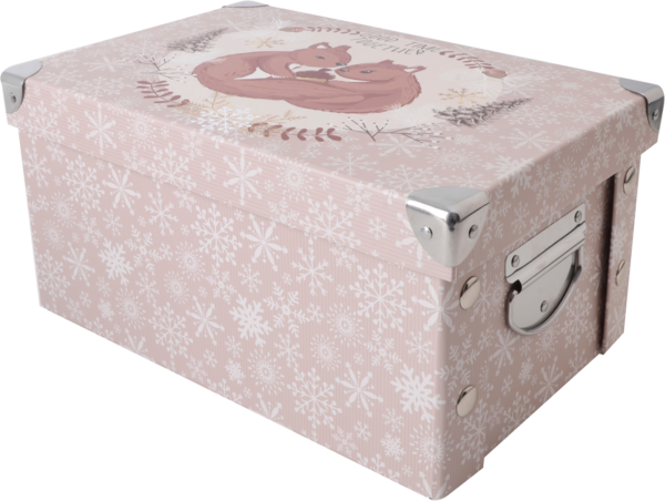  Boite Rangement Actuel  code EAN 3665257554309 