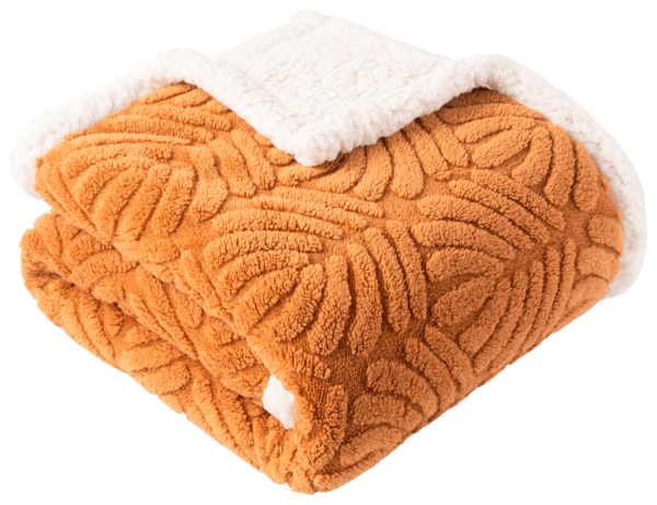  Plaid Jacquard Actuel code EAN 3665257582692 