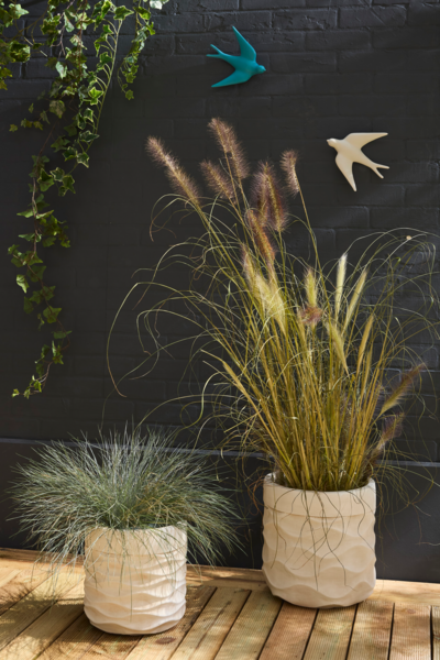  Cache Pot Ø25,5 X H.25,5 Cm   code EAN 3665257606732 