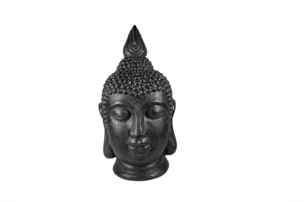 Tête De Bouddha Gardenstar 3665257606992 