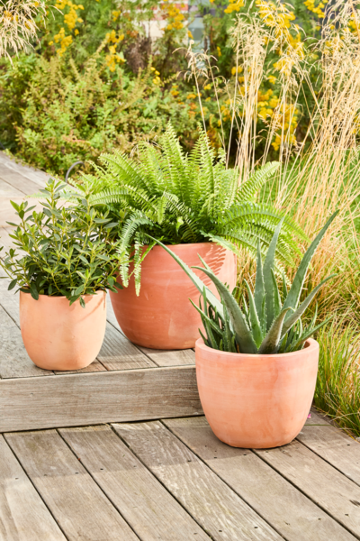  Pot Terre Cuite Ø24 X H.20 Cm code EAN 3665257609443 