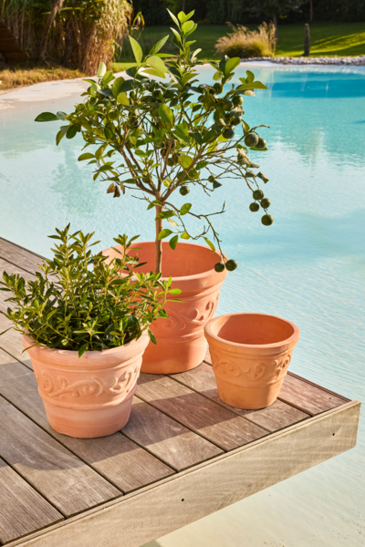  Pot Terre Cuite Ø24 X H.20 Cm code EAN 3665257611705 