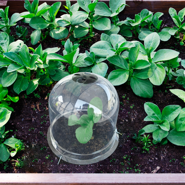  Cloche À Semis Ø26 Cm code EAN 3665257617394 