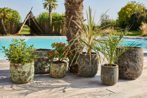  Pot Email Gardenstar code EAN 3665257617417 