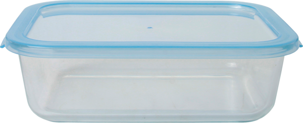  Boite En Verre Rectangle 0.36L Actuel code EAN 3665257630317 