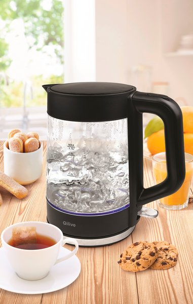  Bouilloire En Verre Qilive code EAN 3665257667597 