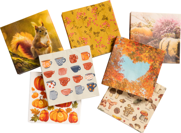 Les 20 Serviettes 33 Cm 3 Plis Actuel