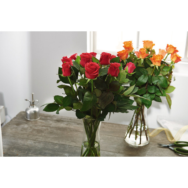  BOUQUET DE 10 ROSES 50 CM  code EAN 3666737702142 