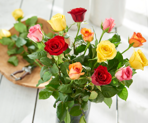  BOUQUET 12 ROSES 50 CM  code EAN 3666737702210 