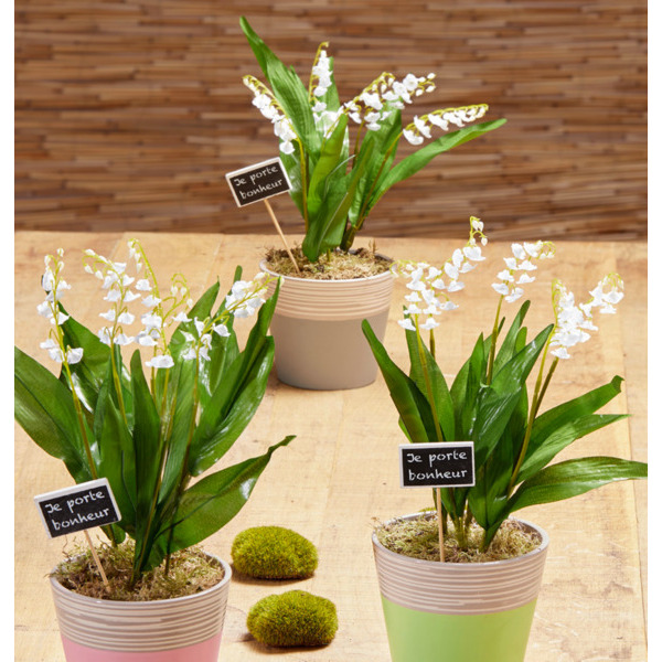 MUGUET 5 GRIFFES DANS UN POT CÉRAMIQUE  3666737709813 