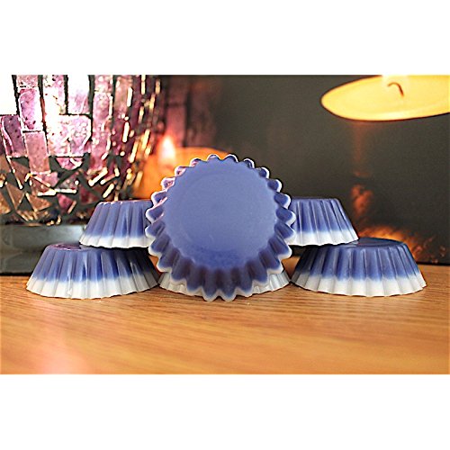 Lin frais Lot de 6 25-30 grammes chaque Moule à Tarte/Melt USA Tartelettes en cire parfumée Fond à partir de tartylicious (Convient pour une utilisation en cire Yankee Candle et autres brûleurs Huile brûleurs) 3696893330514 Totally Tarty Licious