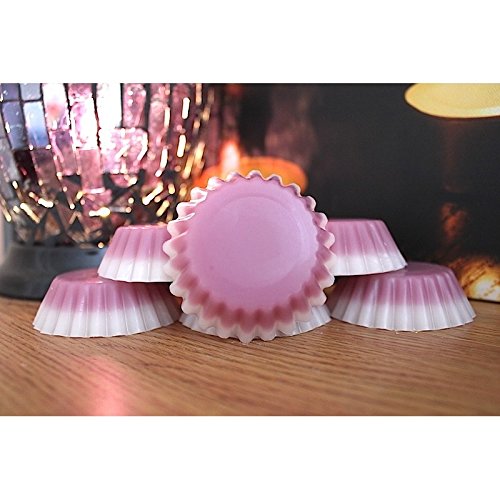 Tiger Lily de la vallée Lot de 6 25-30 grammes chaque Moule à Tarte/Melt USA Tartelettes en cire parfumée Fond à partir de tartylicious (Convient pour une utilisation en cire Yankee Candle et autres brûleurs Huile brûleurs) 3696893330569 Totally Tarty Licious