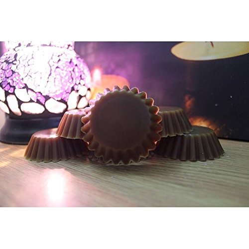 Cosy Cabine Lot de 6 épices de Noël 2016 25-30 grammes chaque Moule à Tarte/Melt USA Tartelettes en cire parfumée Fond à partir de tartylicious (Convient pour une utilisation en cire Yankee Candle et autres brûleurs Huile brûleurs) 3696893331108 Totally Tarty Licious