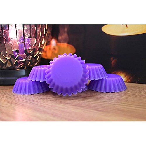 Guirlande de noël Lot de 6 parfums 2016 25-30 grammes chaque Moule à Tarte/Melt USA Tartelettes en cire parfumée Fond à partir de tartylicious (Convient pour une utilisation en cire Yankee Candle et autres brûleurs Huile brûleurs) 3696893331160 Totally Tarty Licious