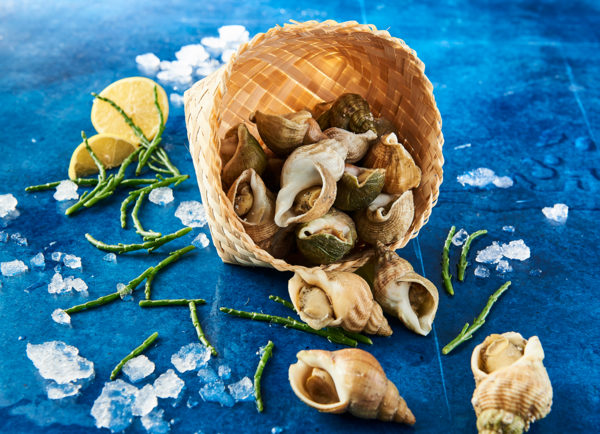  Bulots Cuits code EAN 3700001940042 