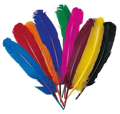 Plume indien coloris assorti -sachet de 12 [jouet]