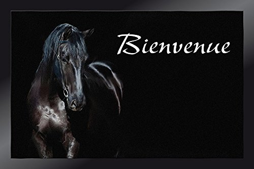 4060 decoregion cheval bienvenue tapis paillass...