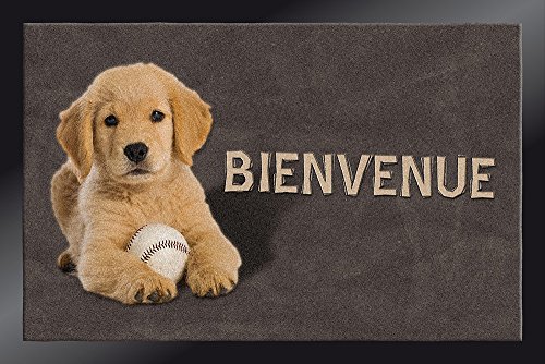 4060 decomat chien bienvenue tapis paillasson f...