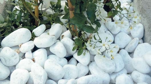  GALETS MARBRE DE CARRARE code EAN 3700058804137 