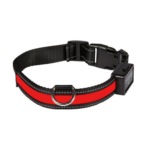 aime Collier lumineux à LED rechargeable pour chien 3700192306023 (3700192306023)
