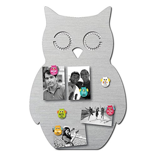 Bruit de cadre Bruit de Cadre - Chouette magnétique B2374 code EAN 3700209030309 