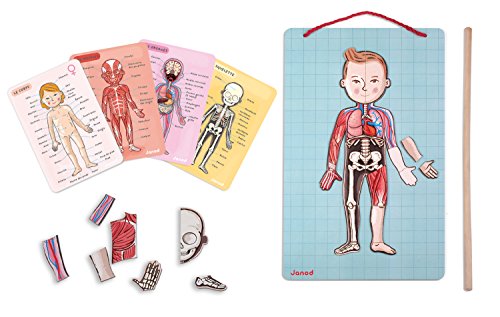 Janod - j05491 - body magnet l'anatomie - 11 langues code EAN 3700217354916 