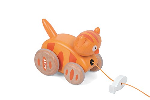 - j08119 - chat à promener zigolos bois