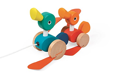 - j08211 - canard family à promener