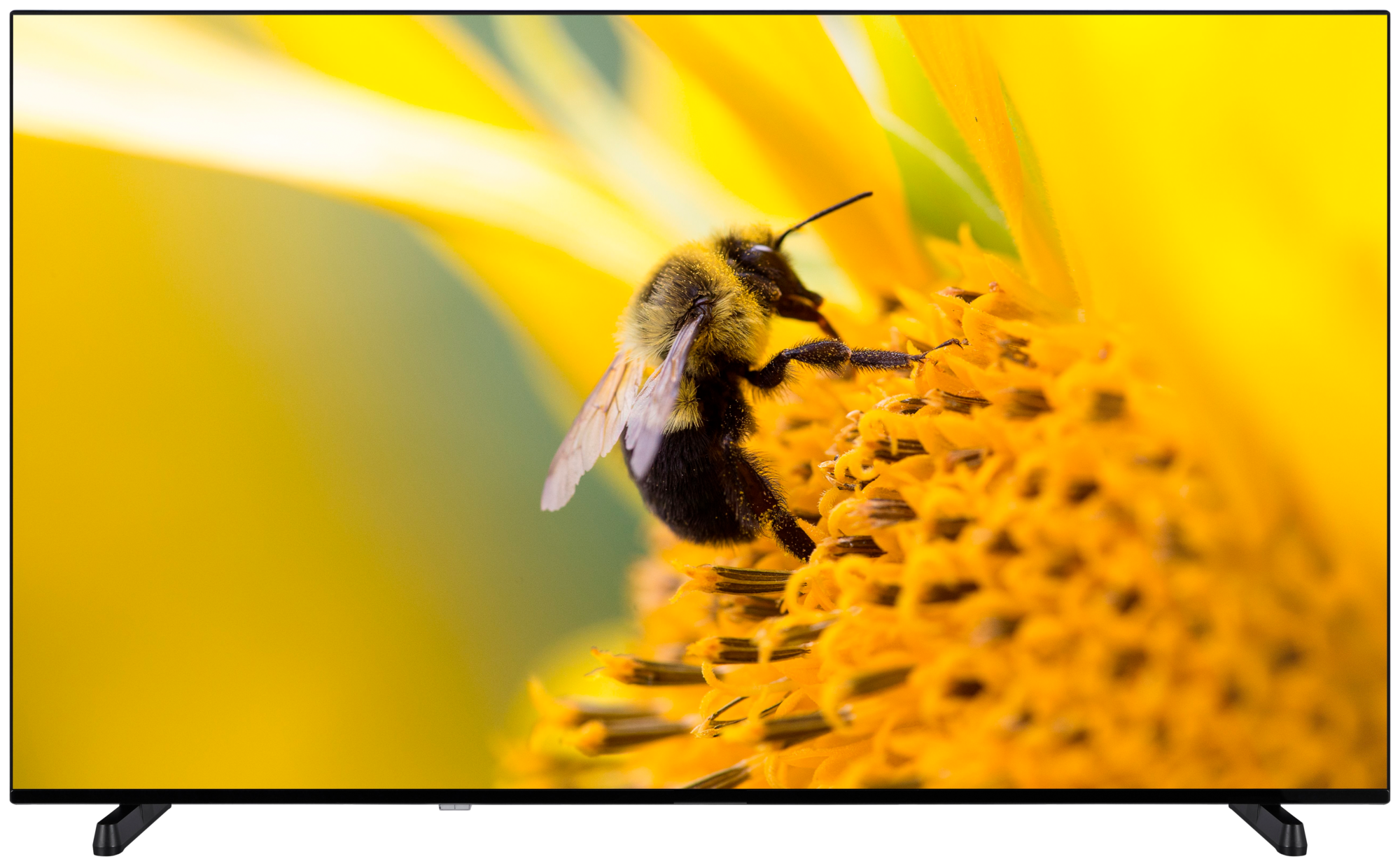 TV LED TL65UHDBL24SW 65