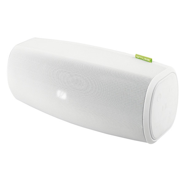 ENCEINTE PORTABLE 